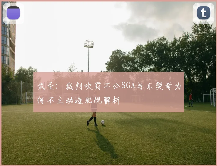 武圣：裁判吹罚不公SGA与东契奇为何不主动造犯规解析