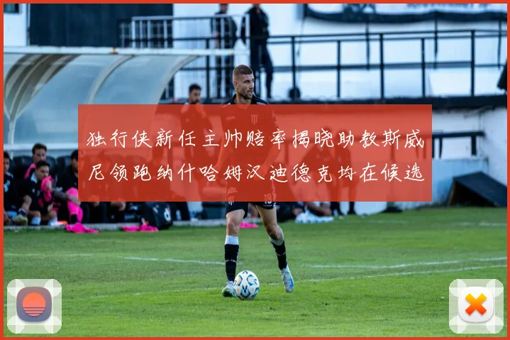 独行侠新任主帅赔率揭晓助教斯威尼领跑纳什哈姆汉迪德克均在候选之中