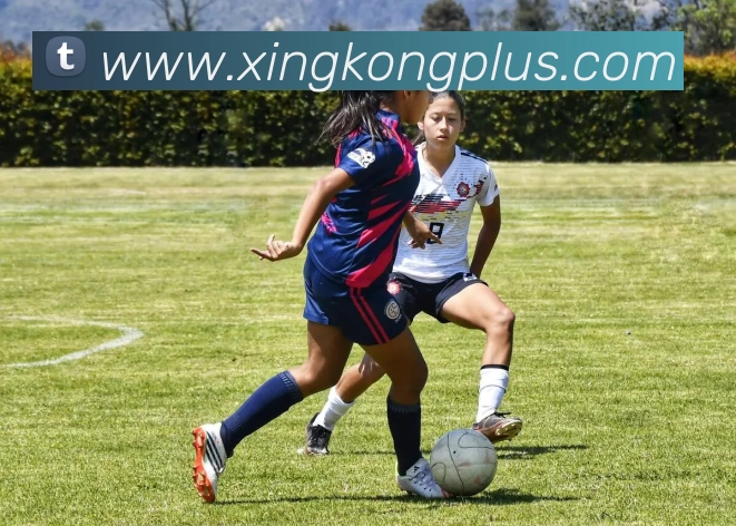 星空体育品牌故事